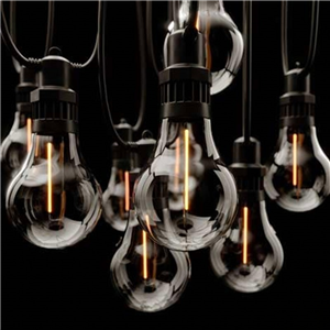 Edinburgh Festoon Lights Set of 10